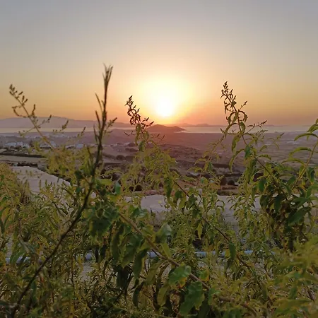 Arcadia Naxos *